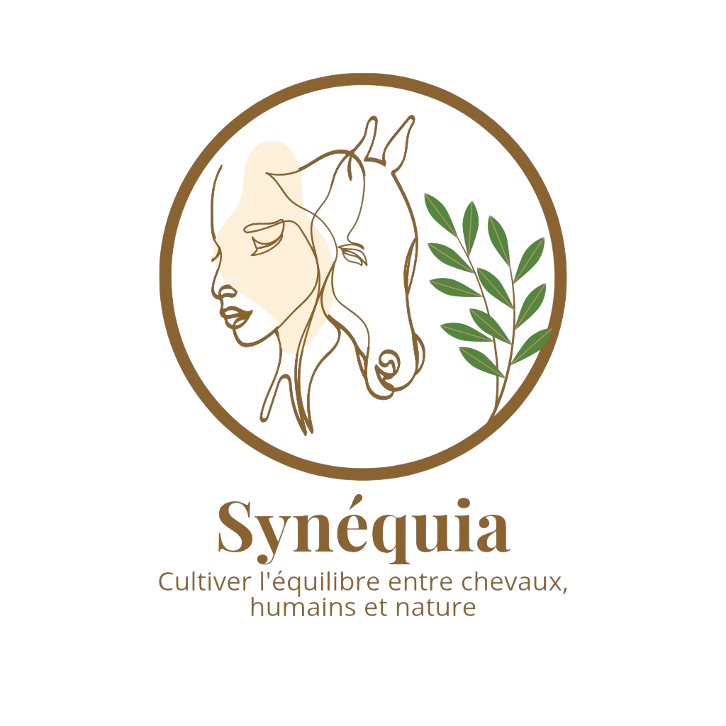 Synequia